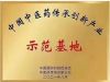传承国医文化   凝聚奋进力量 新春特别报道著名民间名医---朱子松